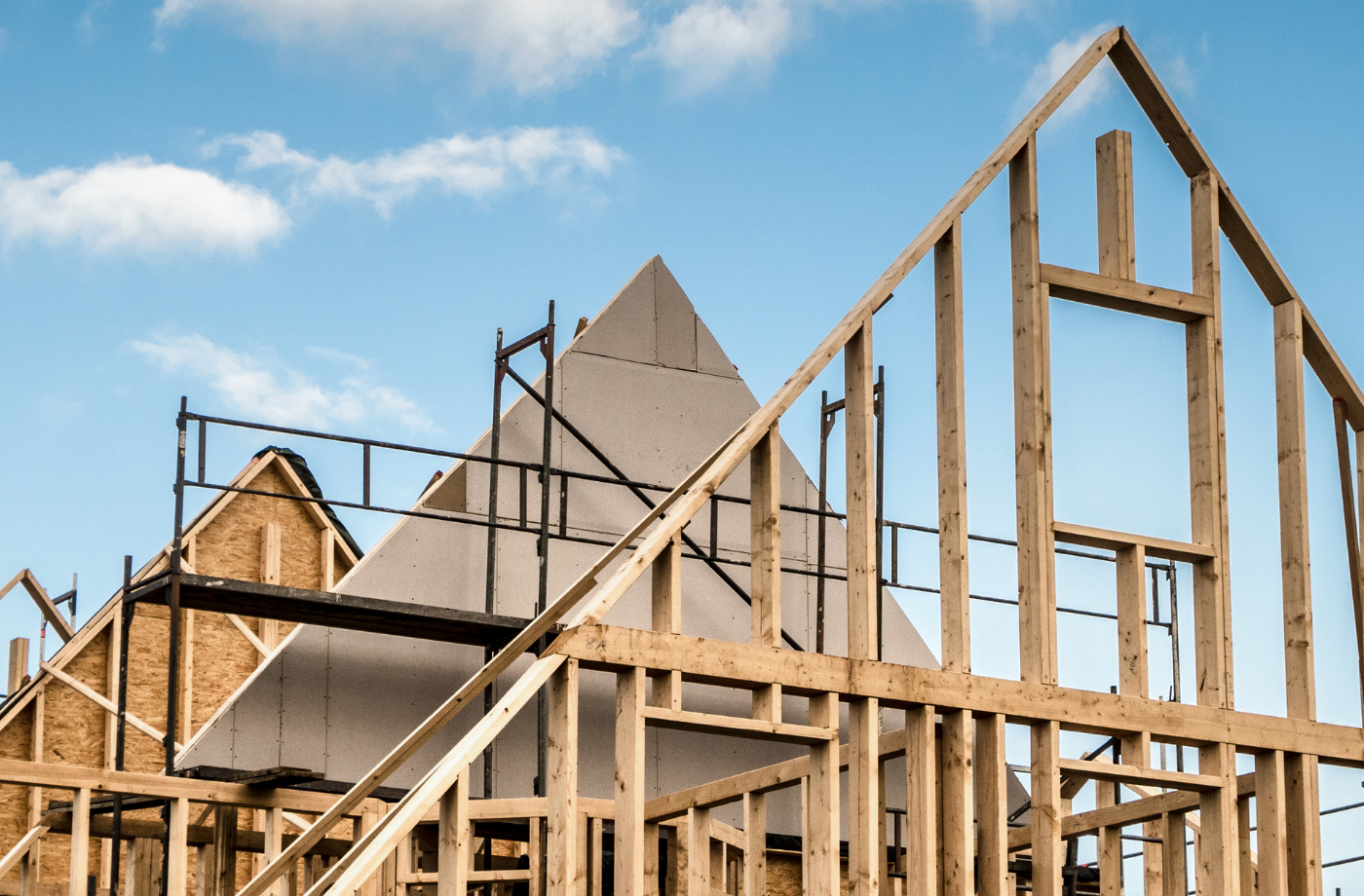 Is timber the solution to the housing crisis?